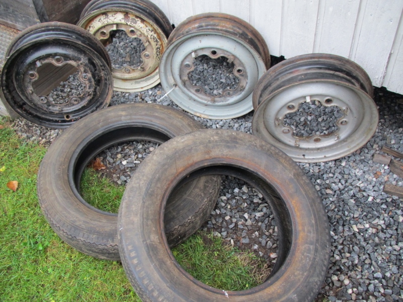 IMG_8321 (800x600).jpg, 348.82 kb, 800 x 600