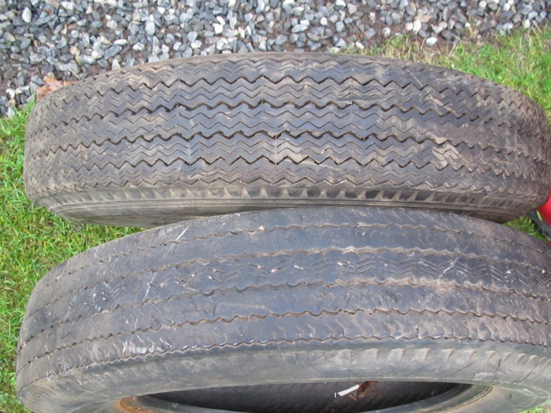 IMG_8323 (800x600).jpg, 353.16 kb, 800 x 600