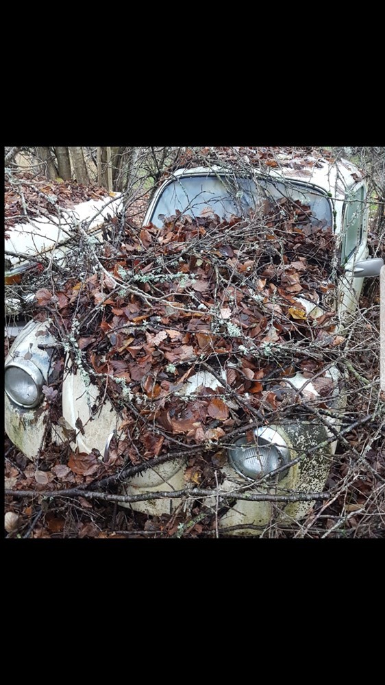 screenshot-20181121-130020-gallery.jpg, 182.2 kb, 562 x 1000