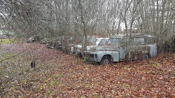 screenshot-20181121-125744-gallery.jpg, 108.12 kb, 570 x 321