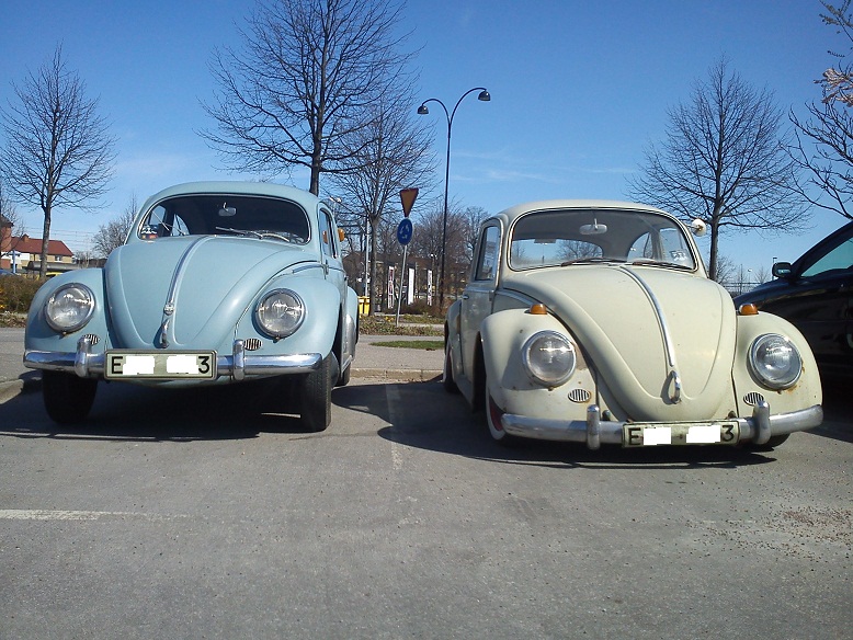 DSC00313.jpg, 212.76 kb, 778 x 584