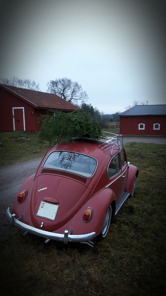 20181202_161244.jpg, 145.17 kb, 531 x 943