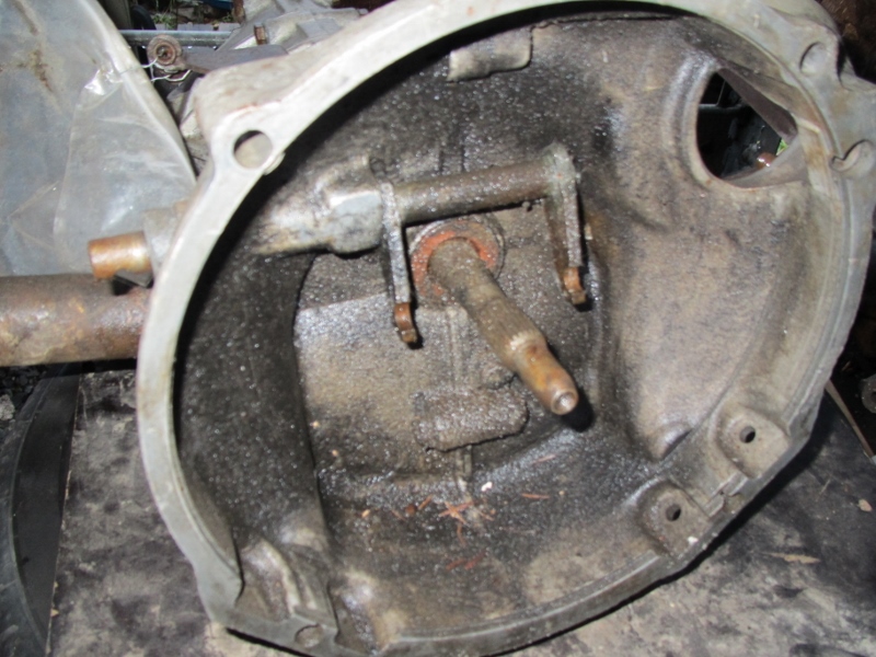 IMG_8386 (800x600).jpg, 269.67 kb, 800 x 600