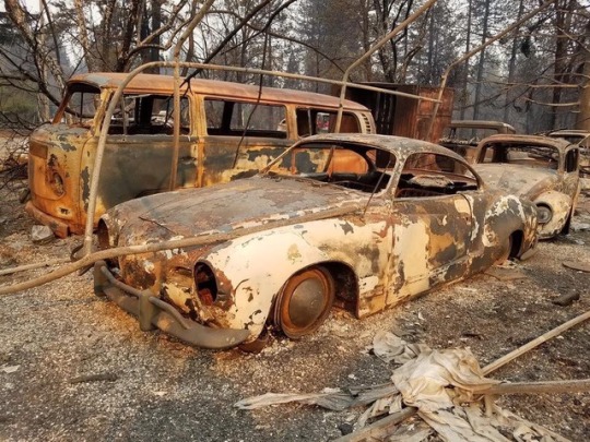 California.jpg, 110 kb, 540 x 405