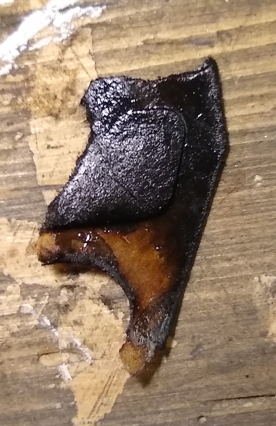 img_20181226_165905988.jpg, 367.16 kb, 924 x 1425