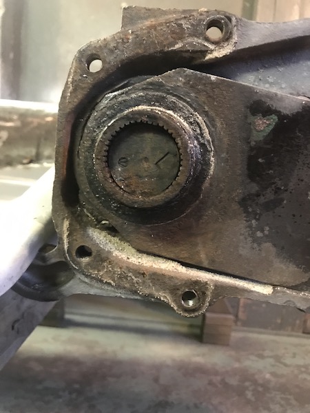 IMG_1816.JPG, 79.33 kb, 450 x 600