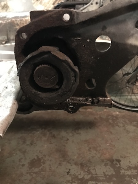 IMG_1823.JPG, 61.32 kb, 450 x 600