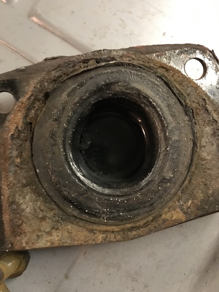 IMG_1827.JPG, 79.89 kb, 450 x 600