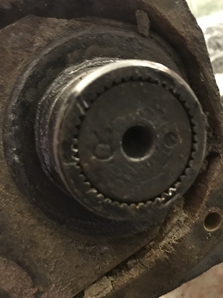 IMG_1828.JPG, 64.48 kb, 450 x 600