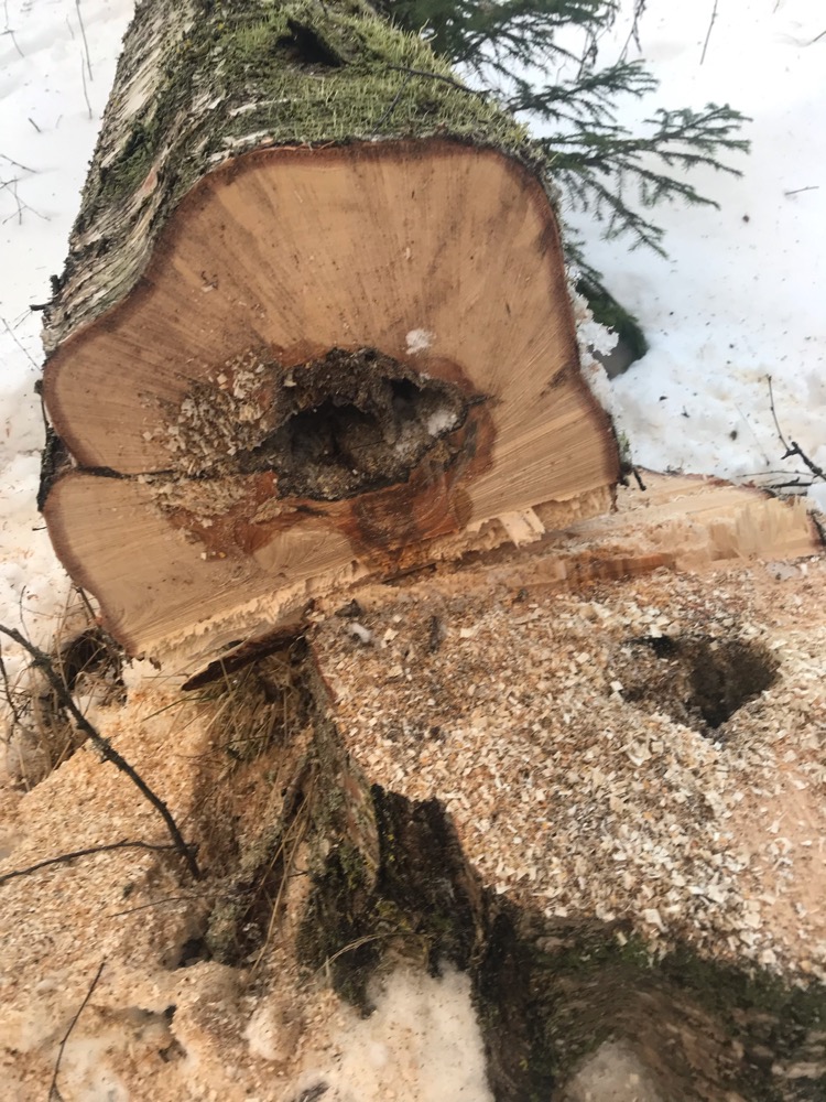 661BAE7E-E793-4B68-9806-9AA420F1116B.jpeg, 289.54 kb, 750 x 1000