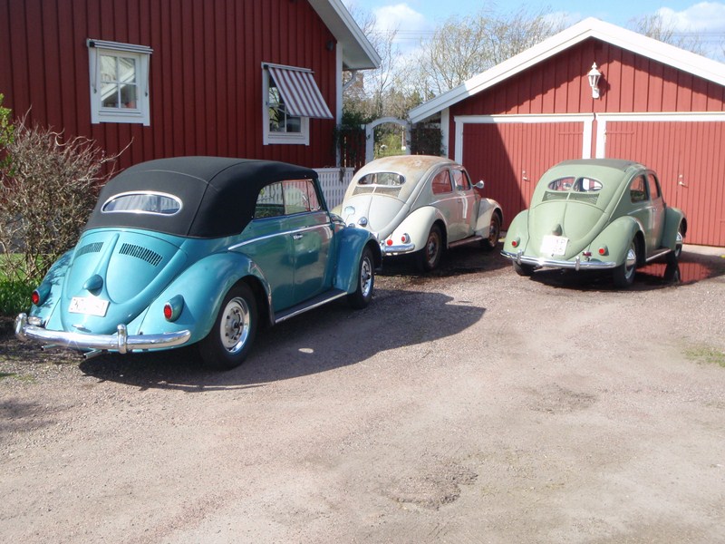 P5050004 [800x600].JPG, 148.33 kb, 800 x 600