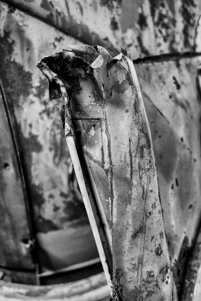 49897459_2080675885358428_3705311283176800256_n.jpg, 100.69 kb, 640 x 960