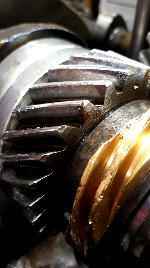 20190119_181315 A.jpg, 150.86 kb, 519 x 922