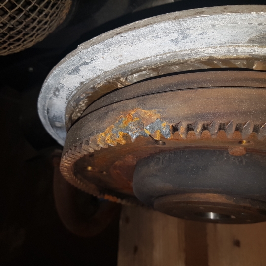 20190201_133433.jpg, 207.66 kb, 540 x 540