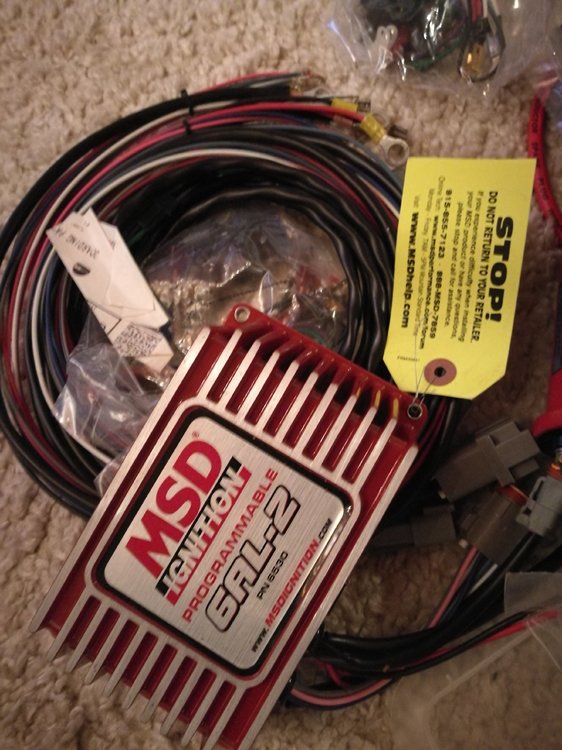 msd_1.jpg, 96.99 kb, 562 x 750