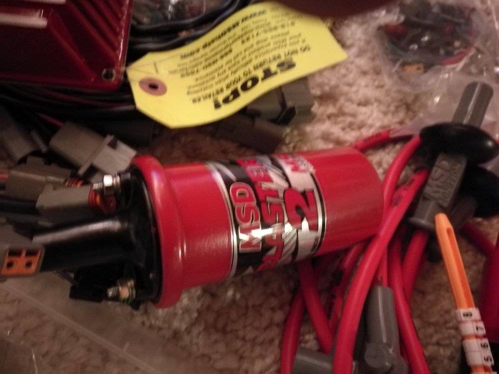 msd_5.jpg, 96.86 kb, 1000 x 750