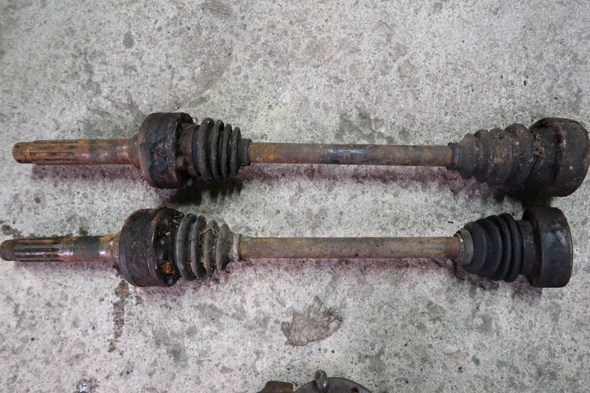 IMG_2813.JPG, 367.74 kb, 1200 x 800