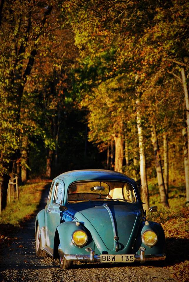 12118897_10153014556657471_6068262499989088392_n.jpg, 119.77 kb, 642 x 960