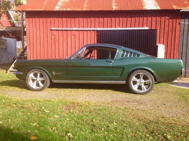 musse2.jpg, 160.14 kb, 640 x 480