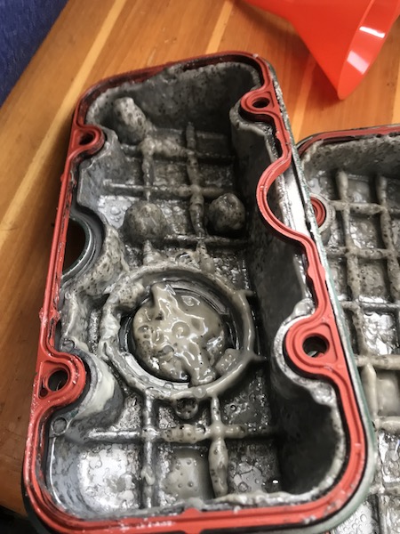 IMG_2188.JPG, 104.89 kb, 450 x 600