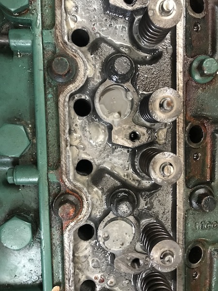 IMG_2189.JPG, 133.03 kb, 450 x 600