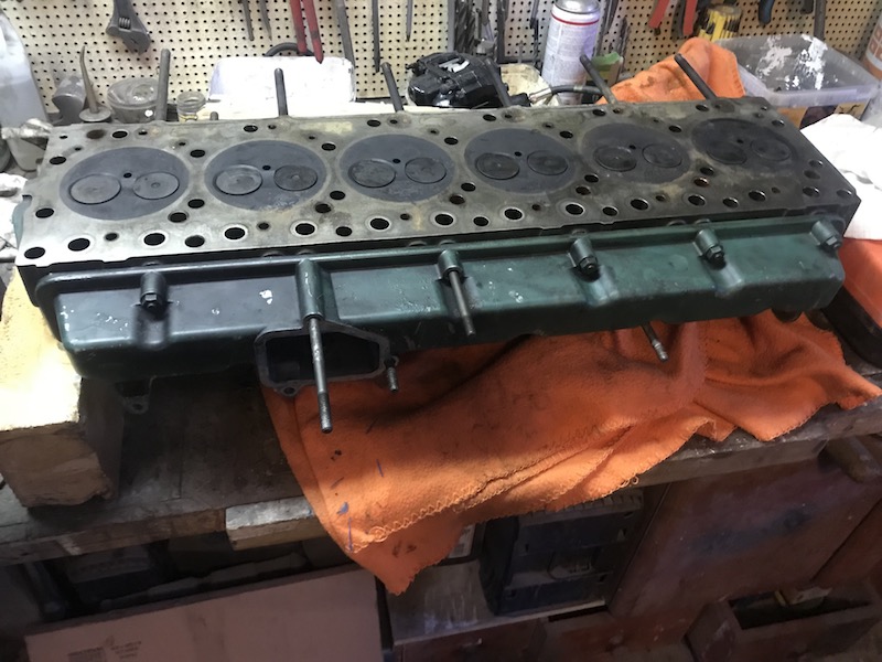 IMG_2228.JPG, 138.47 kb, 800 x 600