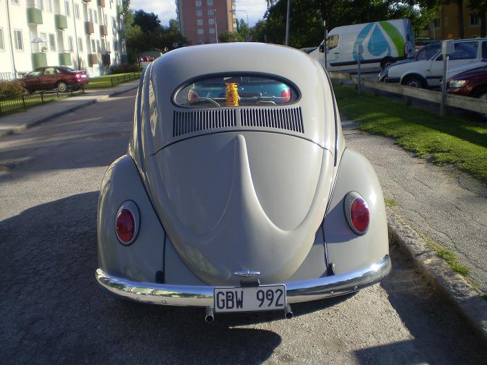 P6180004.jpg, 74.59 kb, 704 x 528