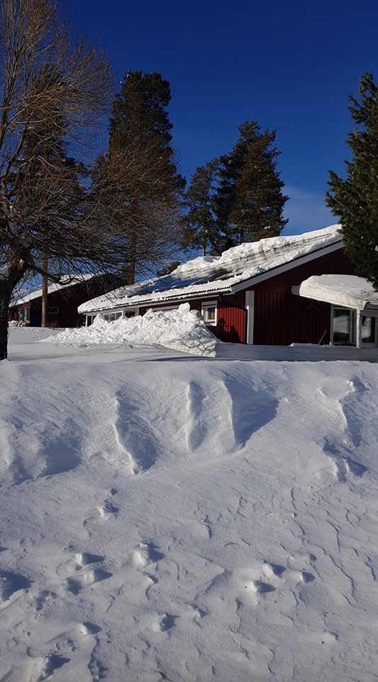 53602115_10156902038722295_5482773426928091136_n.jpg, 109.92 kb, 533 x 960