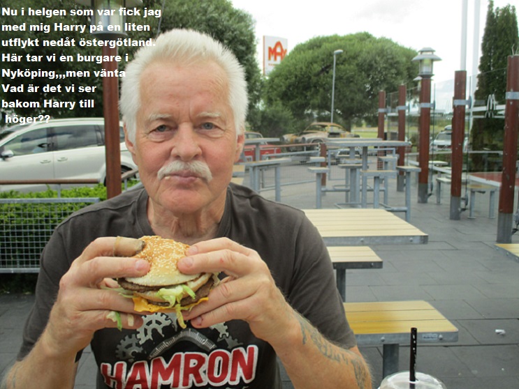 Liten Hämtvecka 1.jpg, 166.82 kb, 743 x 558