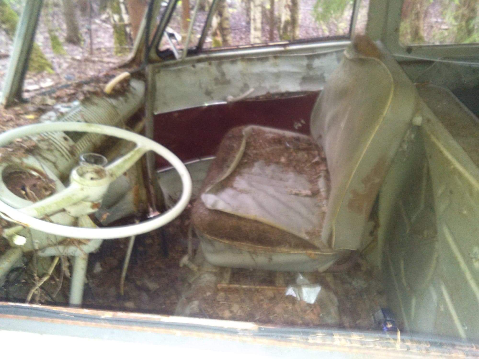 received_567013150373538.jpeg, 190.9 kb, 2000 x 1500