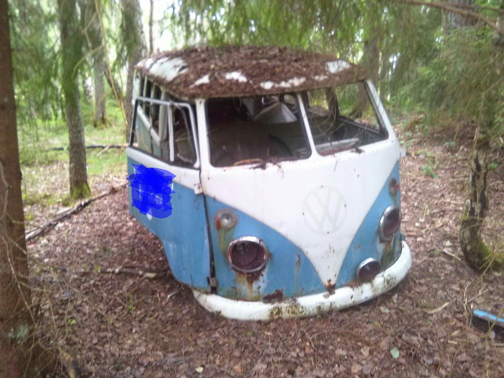 _20190405_060937.JPG, 463.29 kb, 2000 x 1500