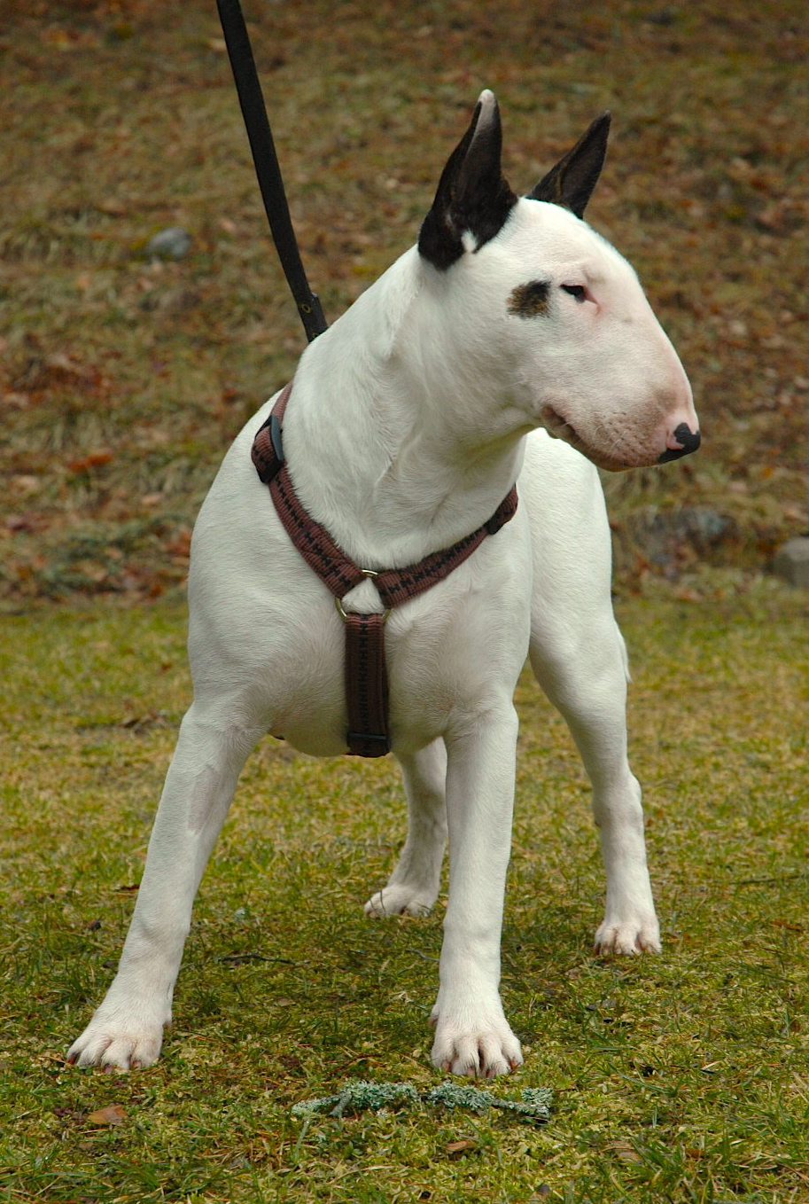 DSC_0985 3.jpg, 664.05 kb, 913 x 1358