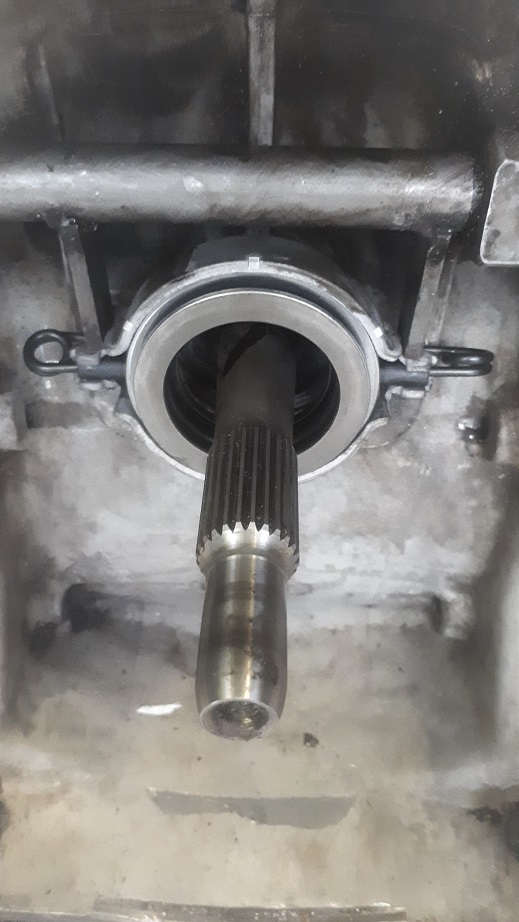 20190406_180138 11.jpg, 161.81 kb, 519 x 922