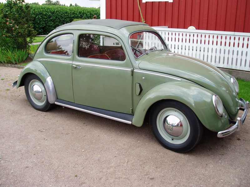 P1010009 [800x600].JPG, 145.08 kb, 800 x 600