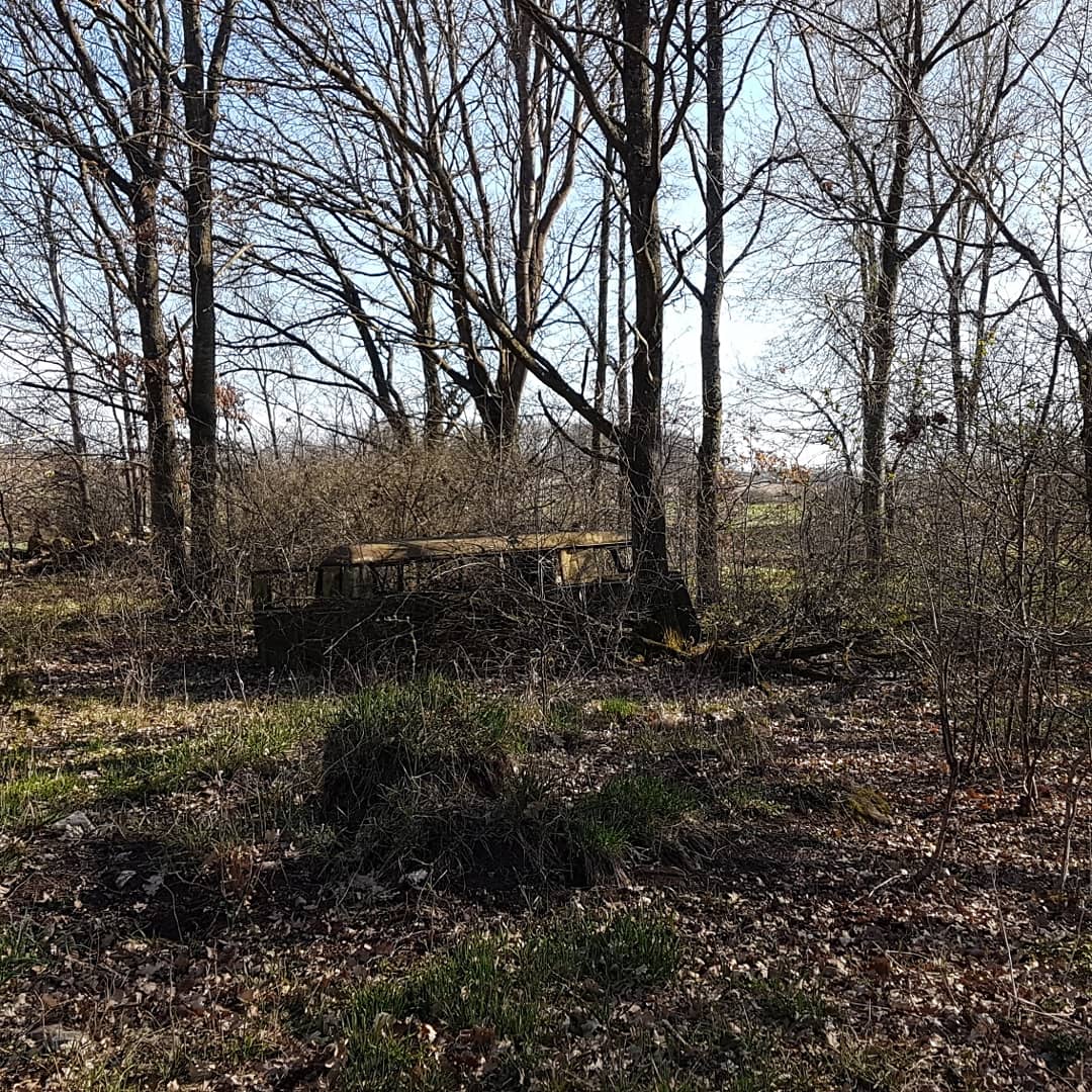 IMG_20190422_174954_108.jpg, 321.75 kb, 1080 x 1080