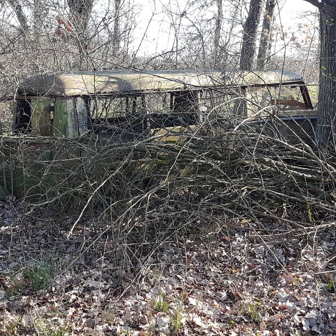 IMG_20190422_174954_109.jpg, 315.4 kb, 1080 x 1080