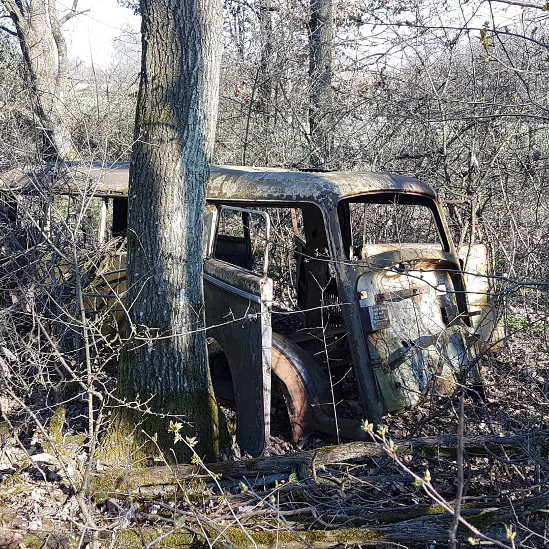 IMG_20190422_174954_107.jpg, 301.01 kb, 1080 x 1080