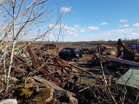 20190319-143604.jpg, 117.21 kb, 570 x 428