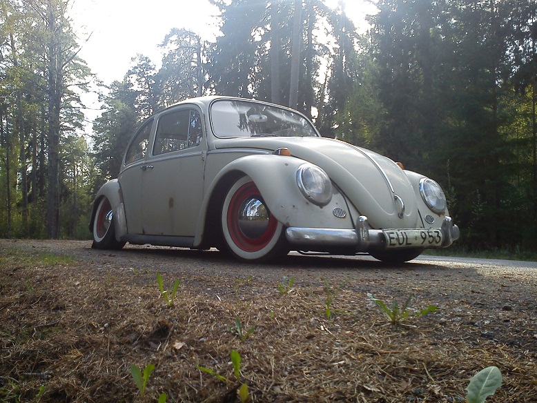 DSC00331.jpg, 242.67 kb, 778 x 584