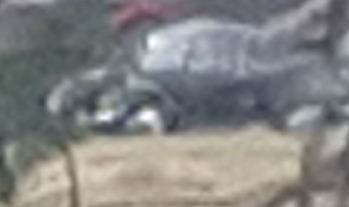 2019.jpg, 20.79 kb, 349 x 207