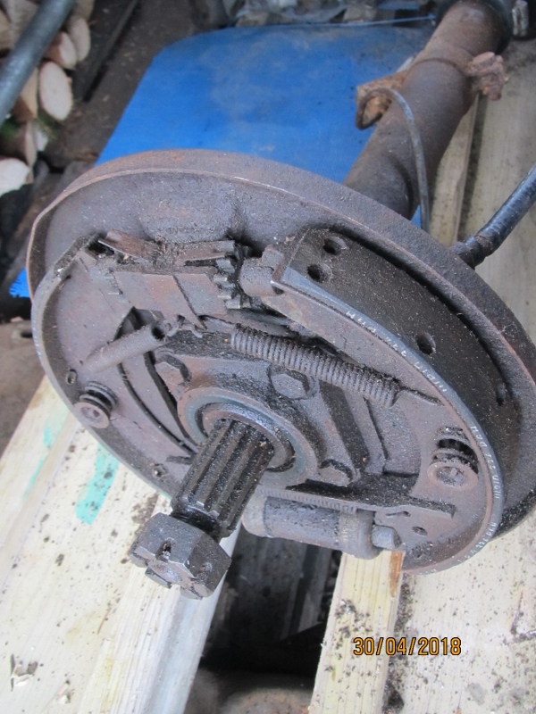 IMG_8053 (600x800).jpg, 282.94 kb, 600 x 800