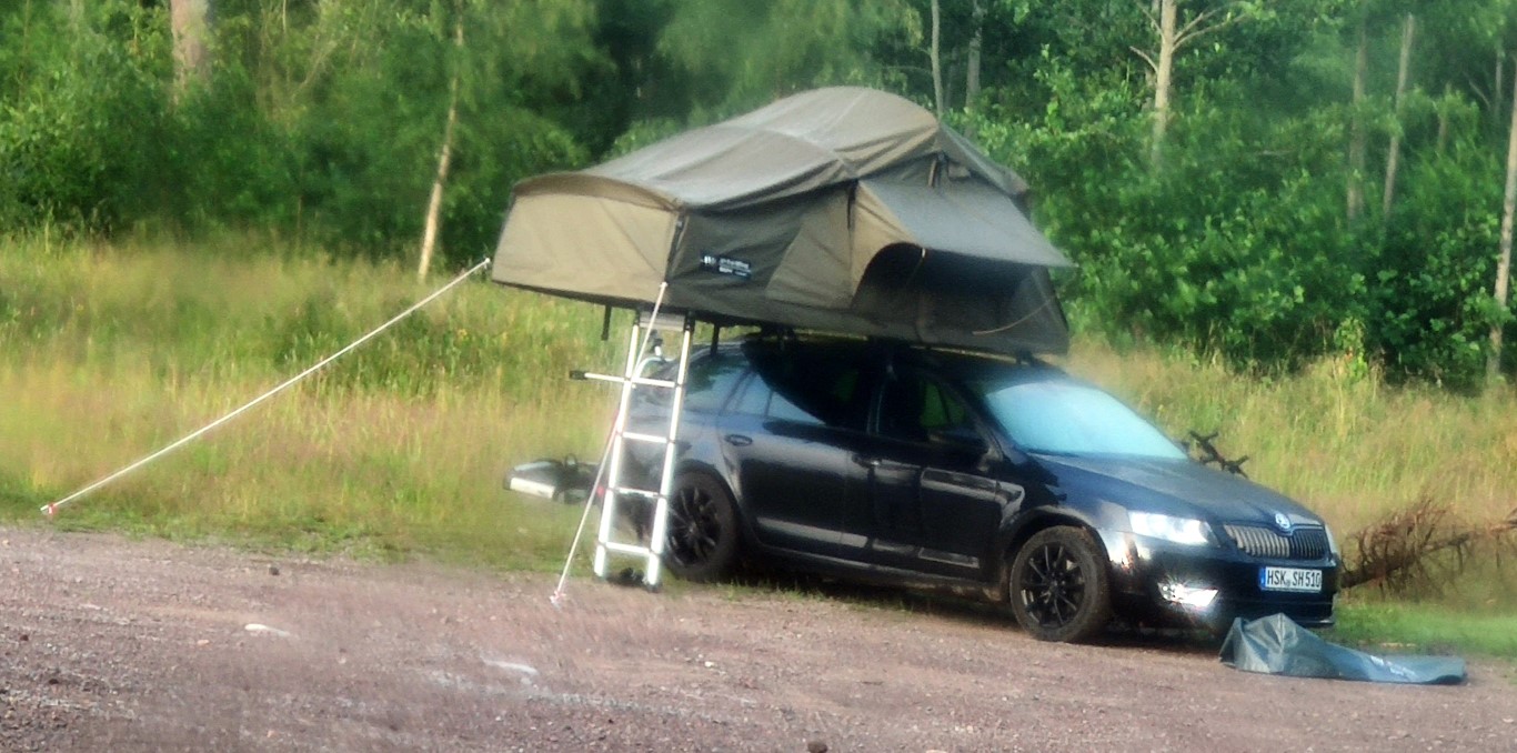 IMG_20190713_060530b (Medium).jpg, 233.9 kb, 1366 x 678