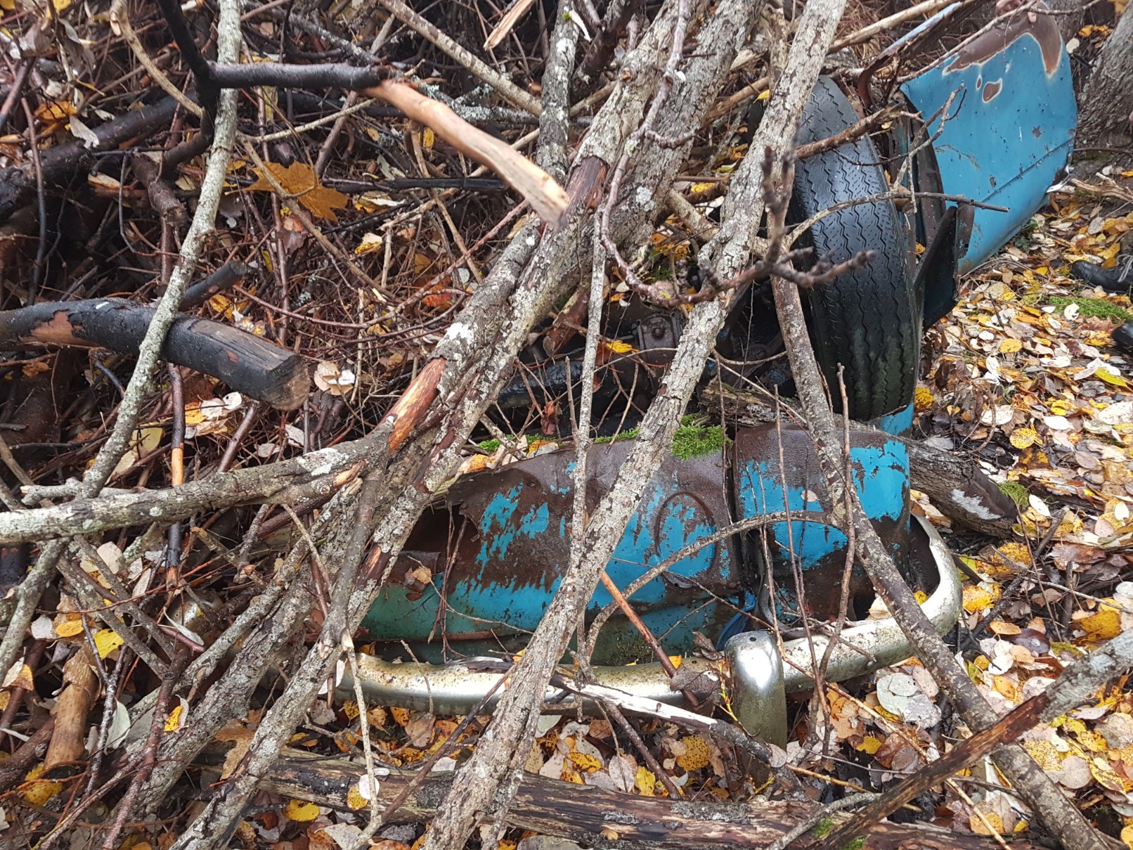 20181107_110224-1612x1209.jpg, 825.42 kb, 1612 x 1209