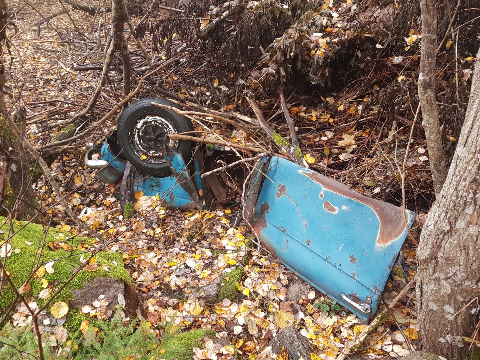 20181107_110515-1612x1209.jpg, 880.7 kb, 1612 x 1209