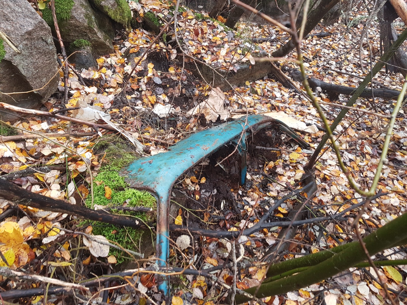 20181107_110456-1612x1209.jpg, 802.78 kb, 1612 x 1209