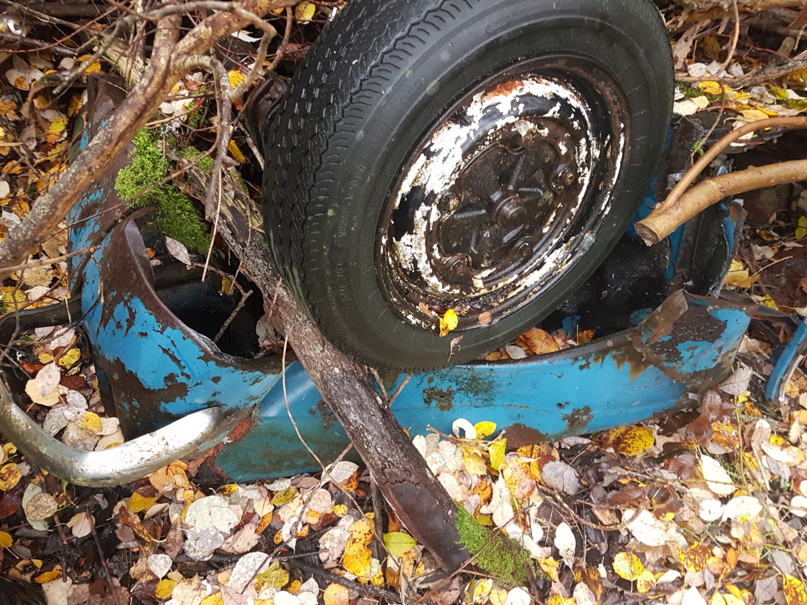 20181107_110233-1612x1209.jpg, 664.9 kb, 1612 x 1209