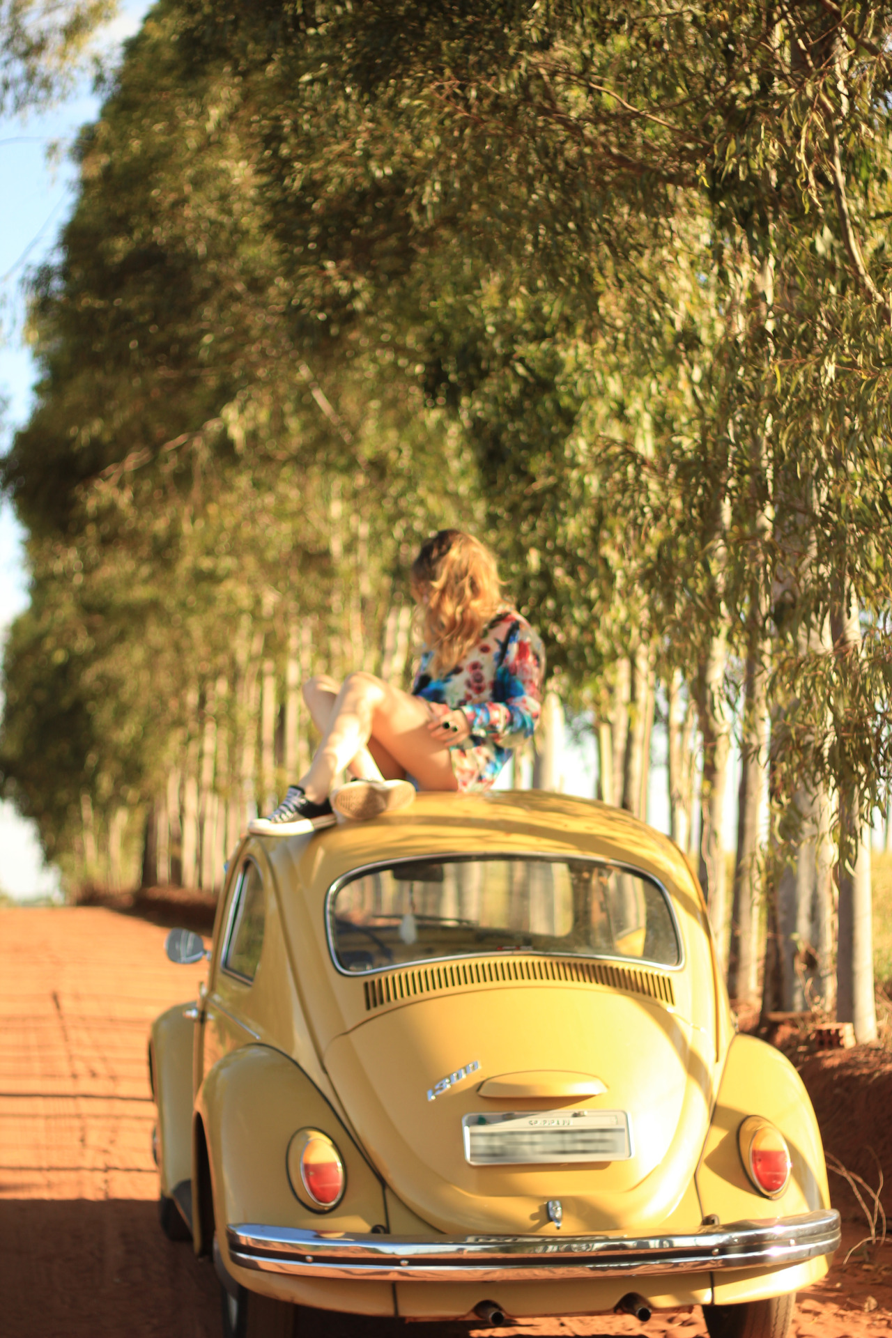 179.jpg, 840.53 kb, 1280 x 1920