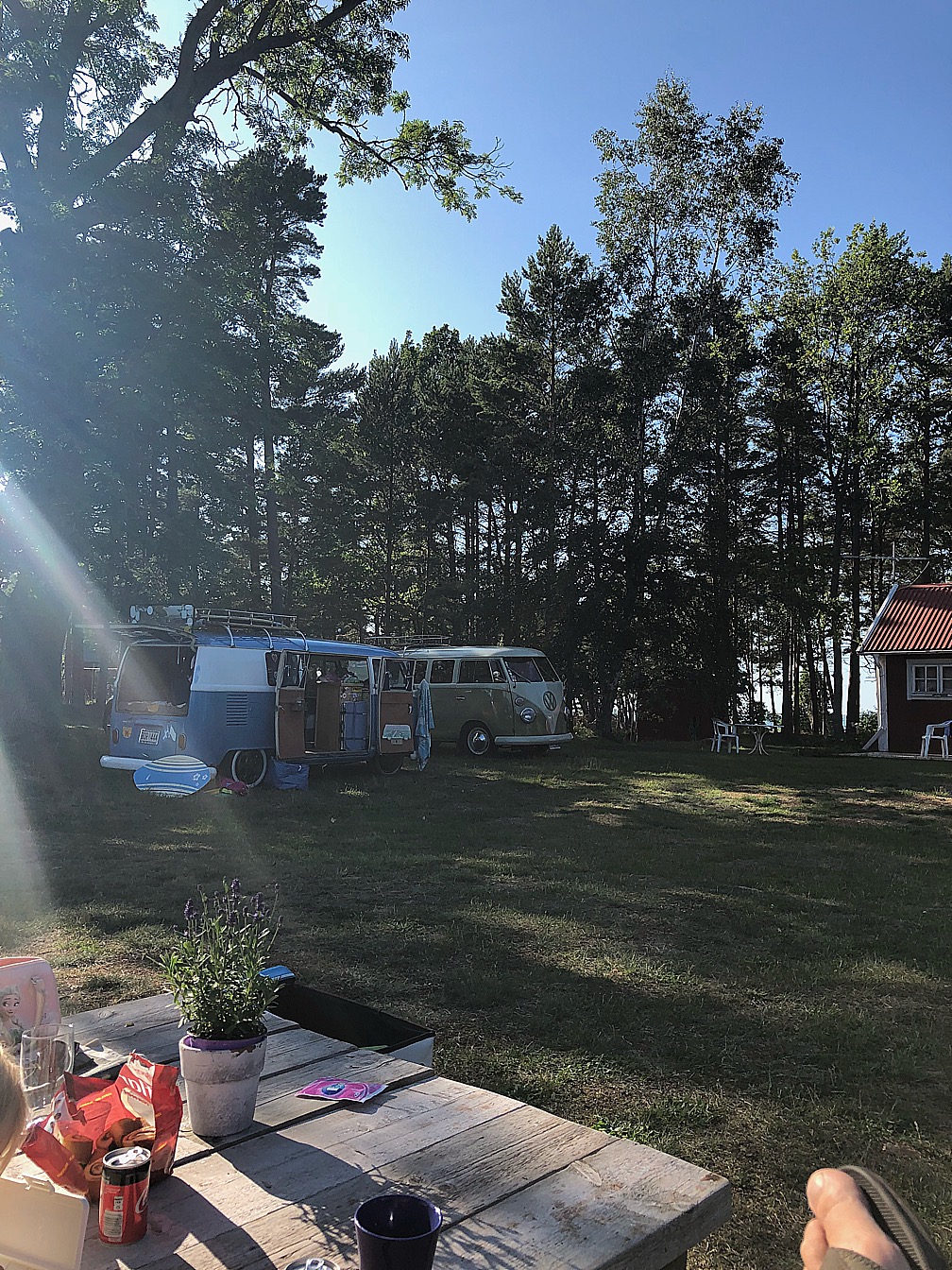 BA976083-8BAA-4CD6-B75E-8C5576E1908B.jpeg, 706.64 kb, 1008 x 1344