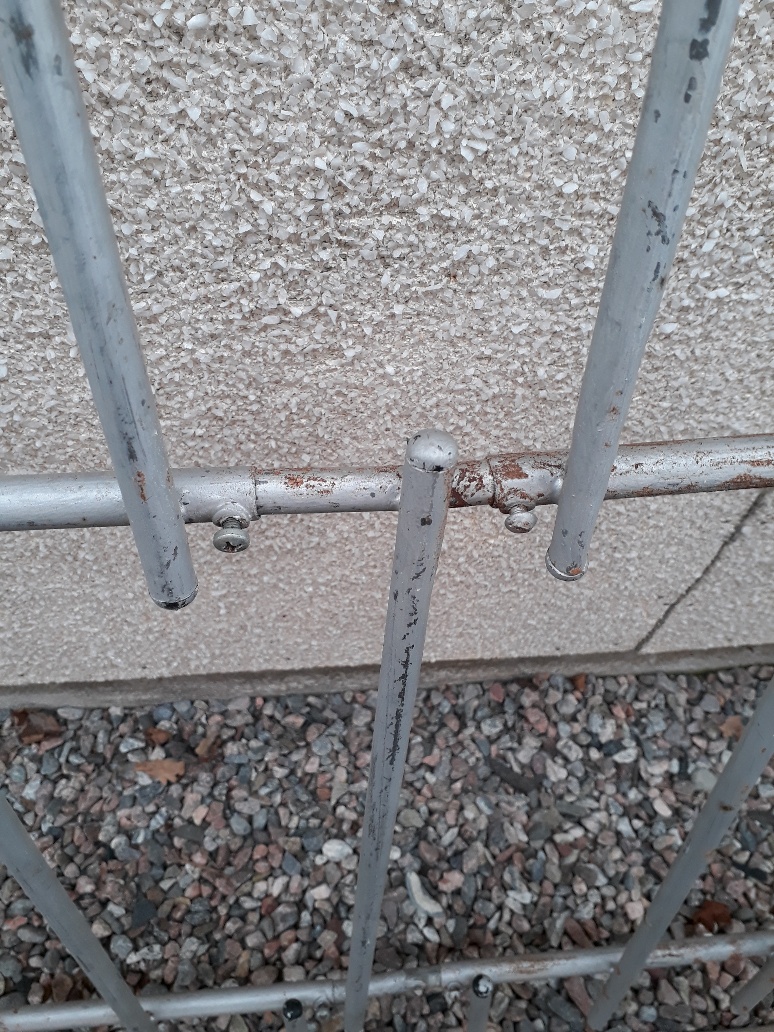 20190731_151652_resized.jpg, 404.15 kb, 774 x 1032