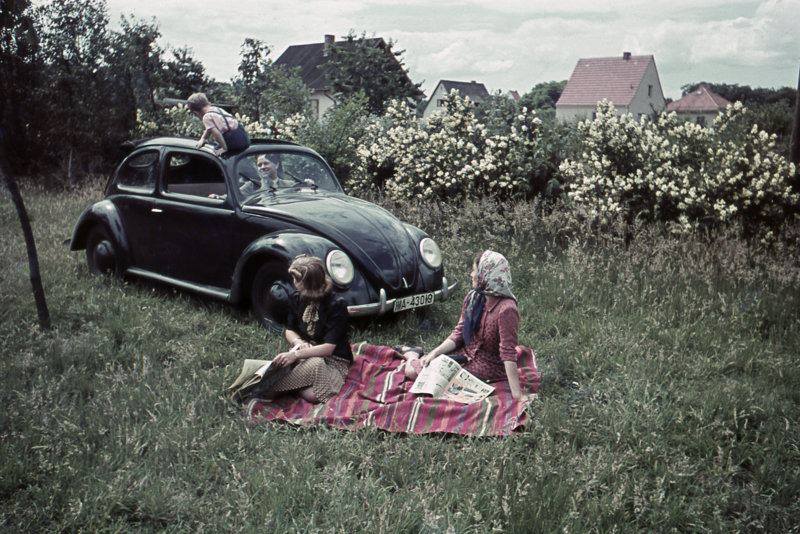 189.jpg, 101.29 kb, 800 x 534